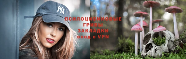 таблы Армянск