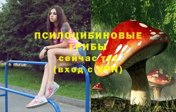 apvp Арсеньев