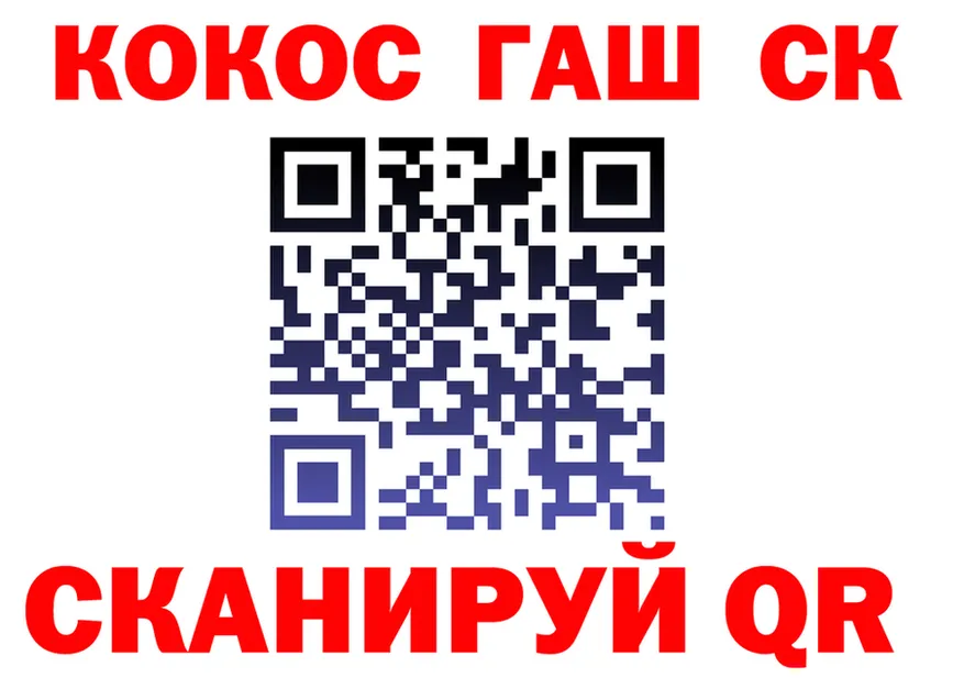 A PVP СК КРИС рабочий сайт это МЕГА Сочи