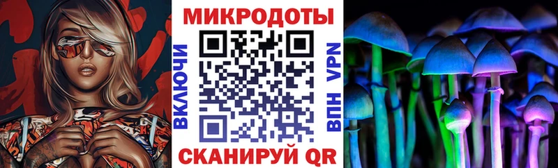 купить наркотики цена  Сочи  Псилоцибиновые грибы Psilocybe 