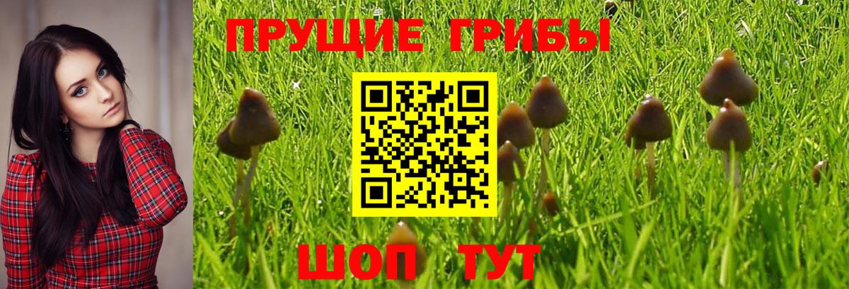 Галлюциногенные грибы Magic Shrooms Сочи