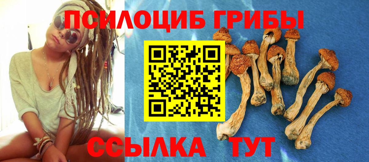 Сочи  Псилоцибиновые грибы MAGIC MUSHROOMS  продажа наркотиков  Вход с VPN 